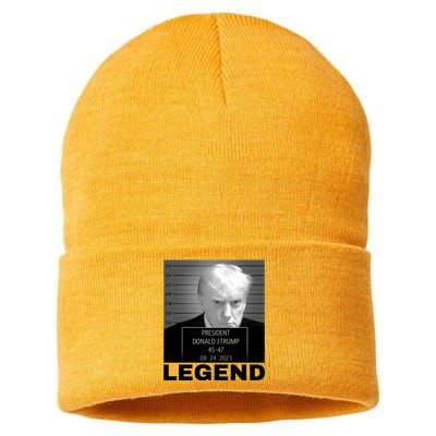 Trump 2024 Mugshot President legend Sustainable Knit Beanie