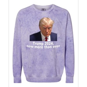 Trump 2024 Now More Than Ever Mugshot Political Colorblast Crewneck Sweatshirt