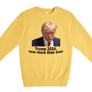 Trump 2024 Now More Than Ever Mugshot Political Premium Crewneck Sweatshirt