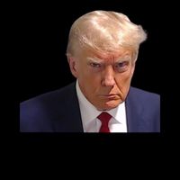 Trump 2024 Now More Than Ever Mugshot Political Mug