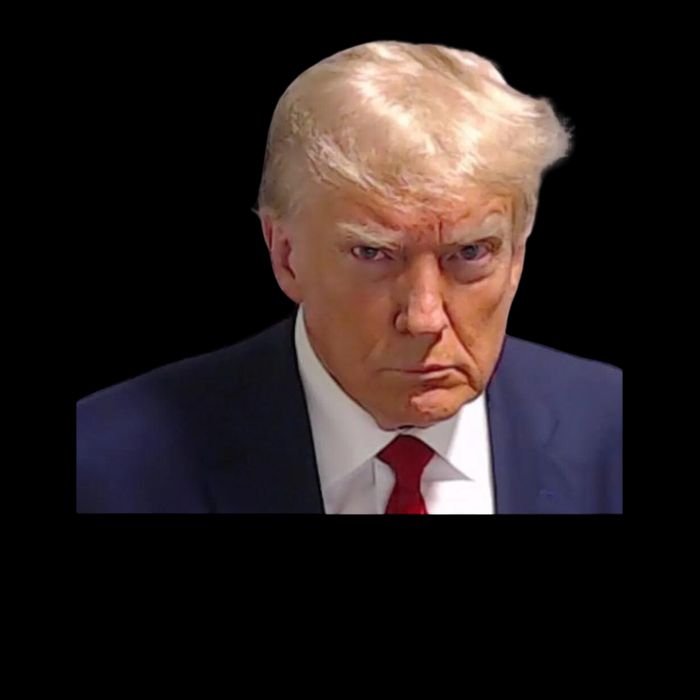 Trump 2024 Now More Than Ever Mugshot Political Mug