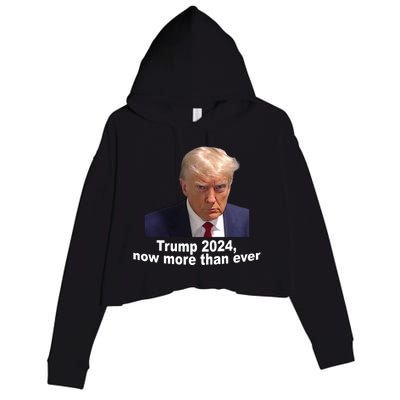 Trump 2024 Now More Than Ever Mugshot Political Crop Fleece Hoodie