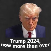 Trump 2024 Now More Than Ever Mugshot Political Hat