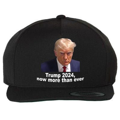 Trump 2024 Now More Than Ever Mugshot Political Wool Snapback Cap