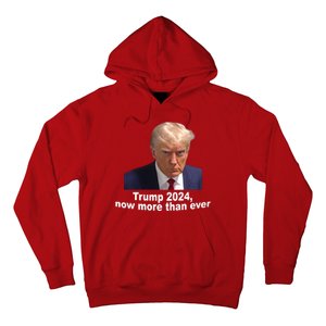 Trump 2024 Now More Than Ever Mugshot Political Hoodie