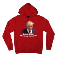 Trump 2024 Now More Than Ever Mugshot Political Hoodie