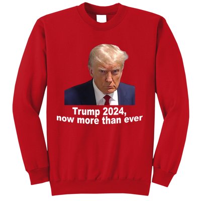 Trump 2024 Now More Than Ever Mugshot Political Sweatshirt