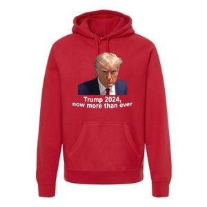 Trump 2024 Now More Than Ever Mugshot Political Premium Hoodie