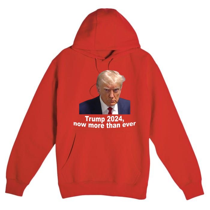 Trump 2024 Now More Than Ever Mugshot Political Premium Pullover Hoodie