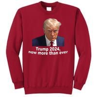 Trump 2024 Now More Than Ever Mugshot Political Tall Sweatshirt