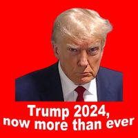 Trump 2024 Now More Than Ever Mugshot Political Womens Tank Top