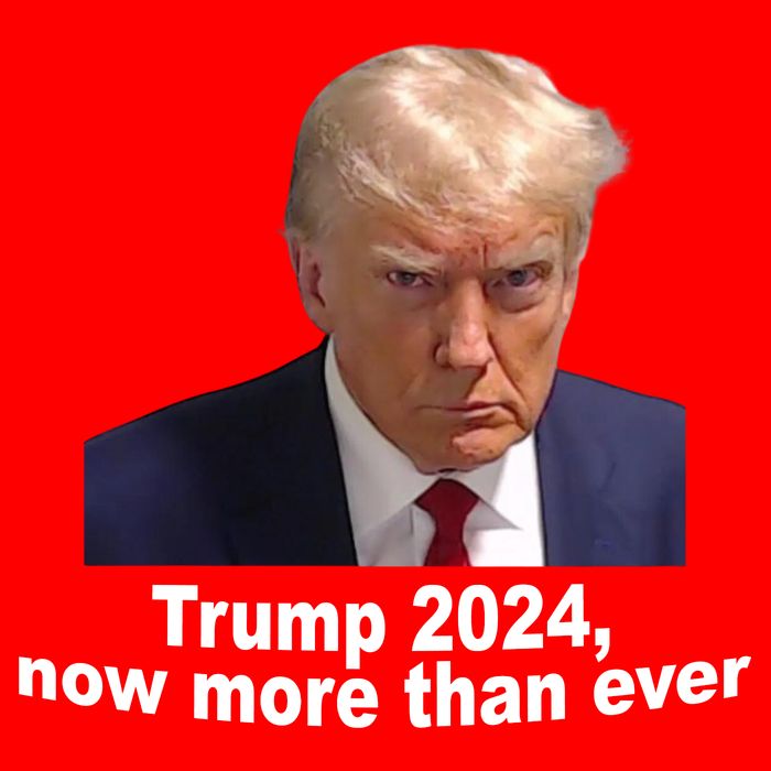 Trump 2024 Now More Than Ever Mugshot Political Womens Tank Top
