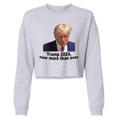 Trump 2024 Now More Than Ever Mugshot Political Cropped Pullover Crew