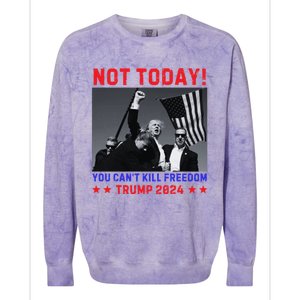 Trump 2024 Not Today! Trump Assassination Attempt Colorblast Crewneck Sweatshirt