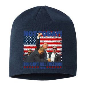 Trump 2024 Not Today You CanT Kill Freedom Sustainable Beanie