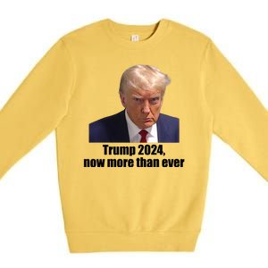 Trump 2024 Now More Than Ever Premium Crewneck Sweatshirt