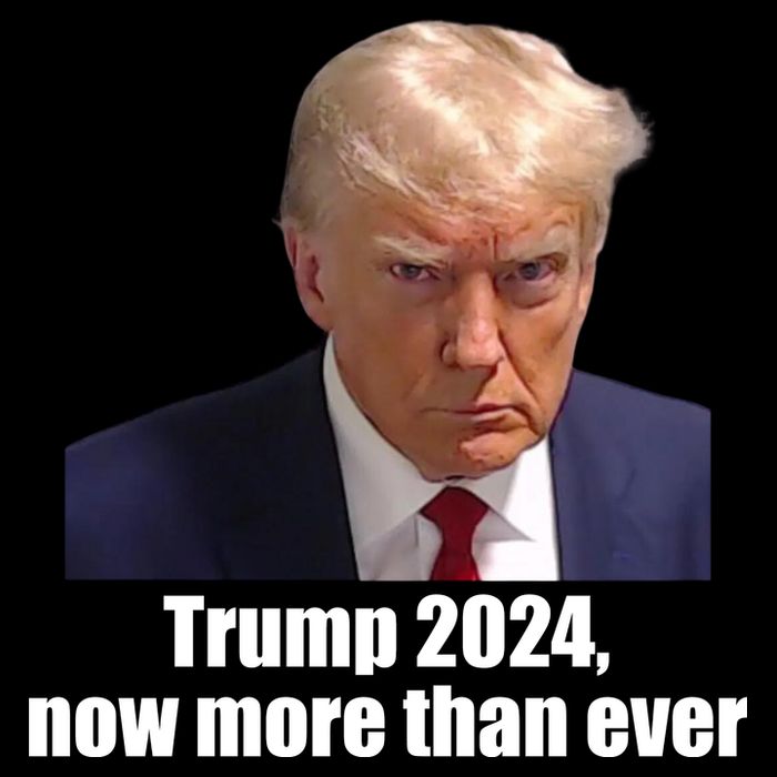 Trump 2024 Now More Than Ever Cooling Performance Crew T-Shirt
