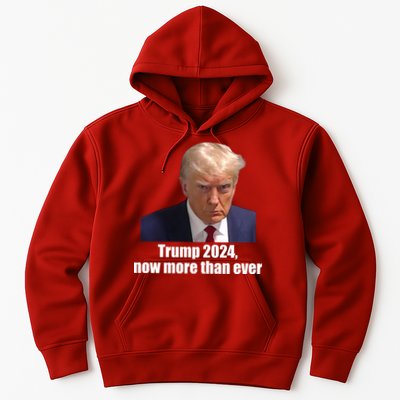Trump 2024 Now More Than Ever Hoodie