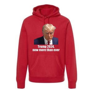 Trump 2024 Now More Than Ever Premium Hoodie