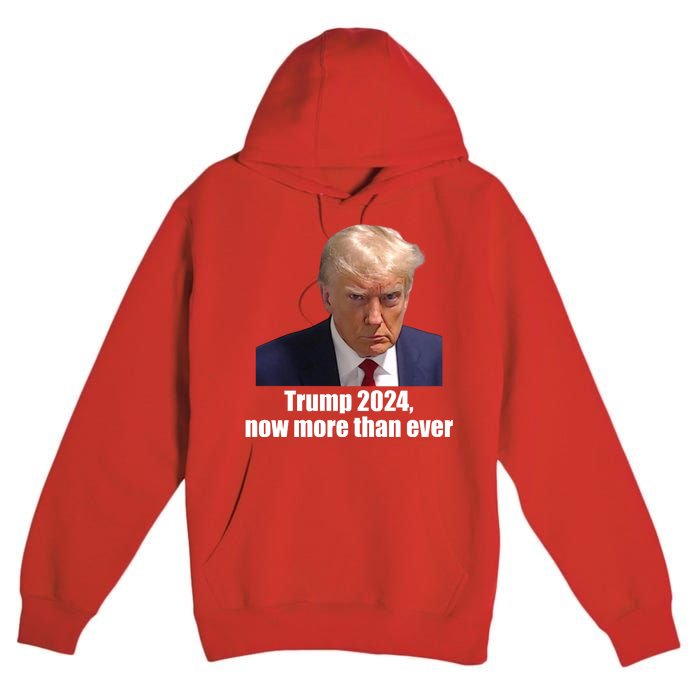 Trump 2024 Now More Than Ever Premium Pullover Hoodie