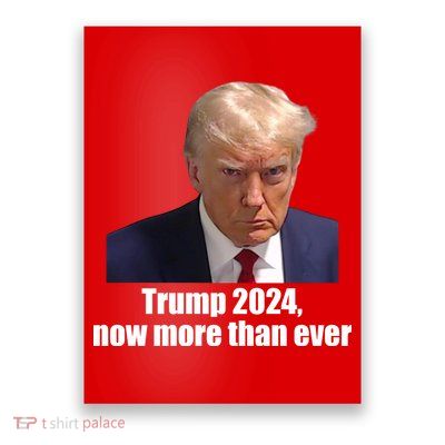 Trump 2024 Now More Than Ever Poster