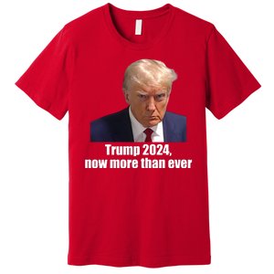 Trump 2024 Now More Than Ever Premium T-Shirt