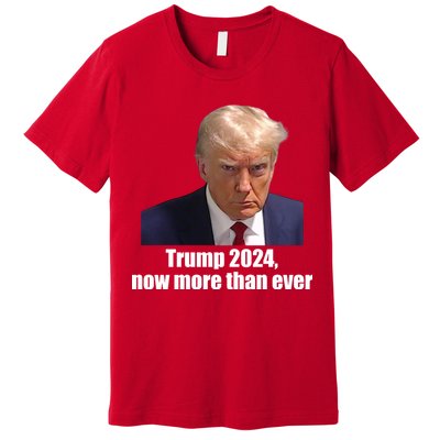 Trump 2024 Now More Than Ever Premium T-Shirt