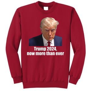 Trump 2024 Now More Than Ever Tall Sweatshirt