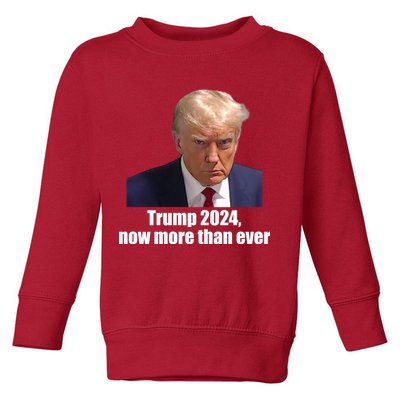 Trump 2024 Now More Than Ever Toddler Sweatshirt