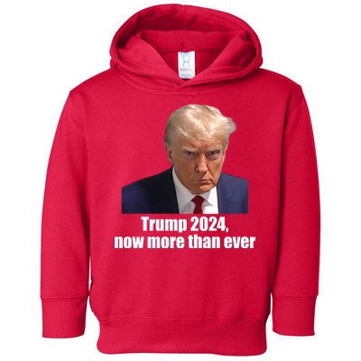 Trump 2024 Now More Than Ever Toddler Hoodie