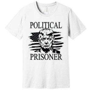 Trump 2024 Outlaw President Trump Not Guilty Premium T-Shirt