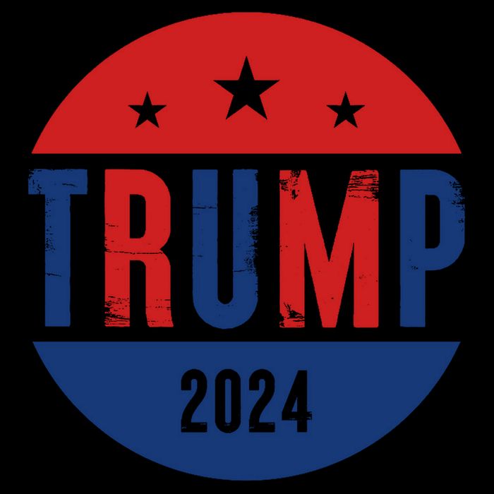 Trump 2024 Presidential Election Logo Toddler Hoodie