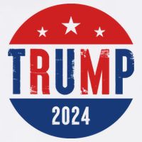 Trump 2024 Presidential Election Logo Wool Snapback Cap
