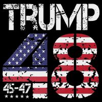 Trump 2028 President 45 47 48 American Flag Trump 2028 Toddler Sweatshirt
