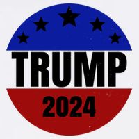 Trump 2024 Star Logo Tall T-Shirt