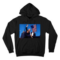 Trump 2024 Strong Rally Fist Hand Us Vote Premium Hoodie