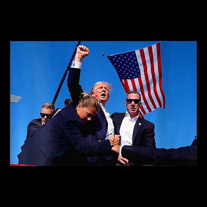 Trump 2024 Strong Rally Fist Hand Us Vote Premium Poster