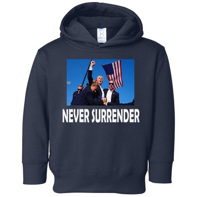 Trump 2024 Toddler Hoodie