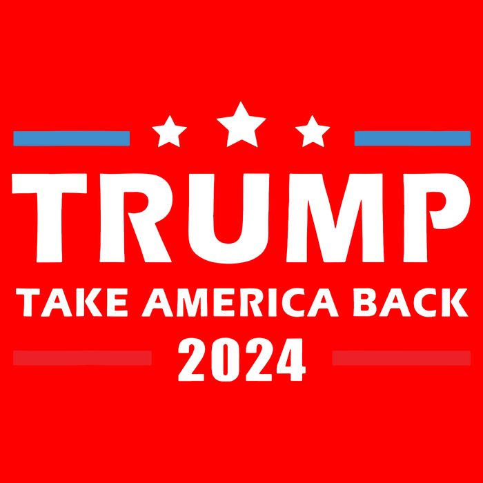 Trump 2024 Take America Back Election Patriotic Second Term T-Shirt
