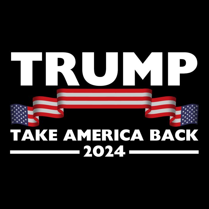 Trump 2024 Take America Back USA United States Women's Crop Top Tee