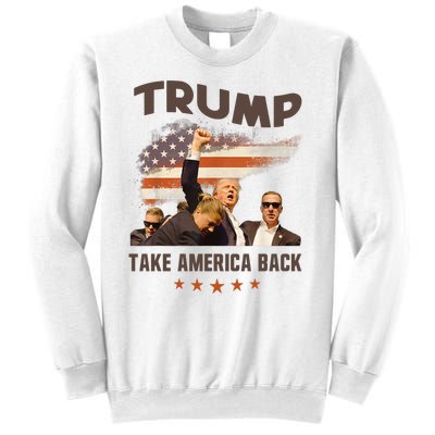 Trump 2024 Take America Back Election Gift Sweatshirt