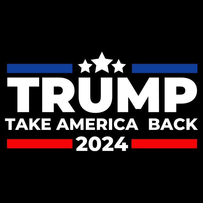 Trump 2024 Take Back America Poster