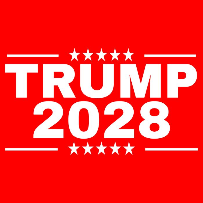 Trump 2028 Poster