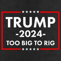 Trump 2024 Too Big To Rig Cool Comfort Performance Bucket Hat