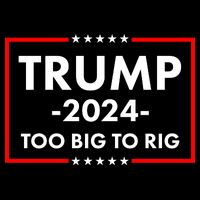 Trump 2024 Too Big To Rig Flat Bill Trucker Hat