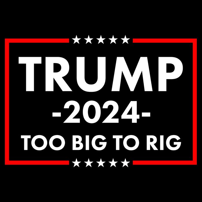 Trump 2024 Too Big To Rig Flat Bill Trucker Hat