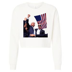 Trump 2024 Us Flag Donald Trump Election Rally Shooting 2024 Cropped Pullover Crew