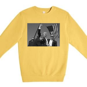 Trump 2024 Us Flag Donald Trump Election Rally Shooting Donald Trump Fist Pump Premium Crewneck Sweatshirt