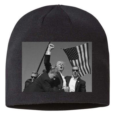 Trump 2024 Us Flag Donald Trump Election Rally Shooting Donald Trump Fist Pump Sustainable Beanie