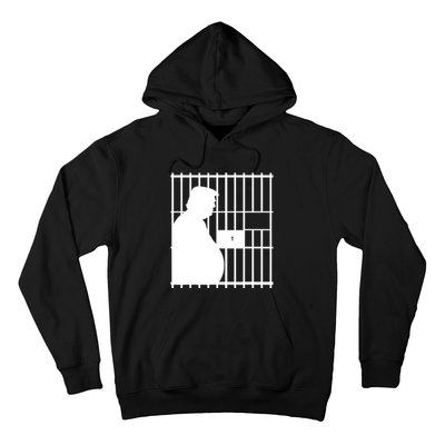 Trump 20,24 Years In Prison, Democrats Liberals Hoodie